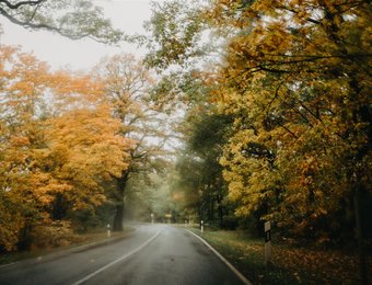 Herbst Straße