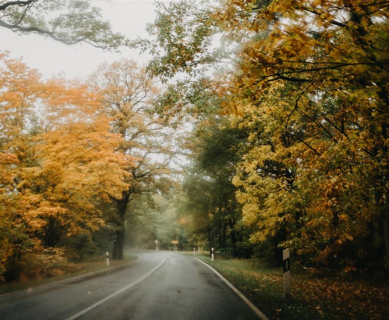 Herbst Straße